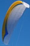 paraglider