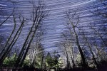 Startrails1231