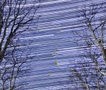Startrails1231with-Orion