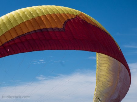 paraglider