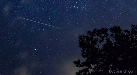 Perseid Meteor
