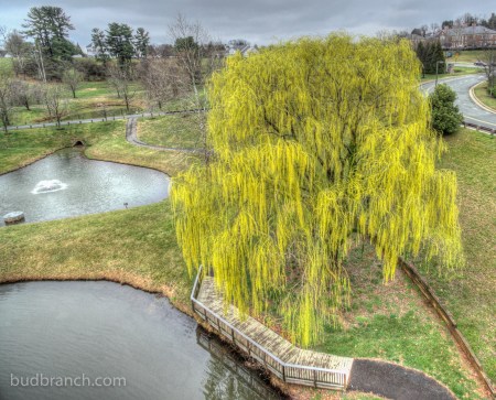 DJI_0364_5_6_7_8_tonemapped-2