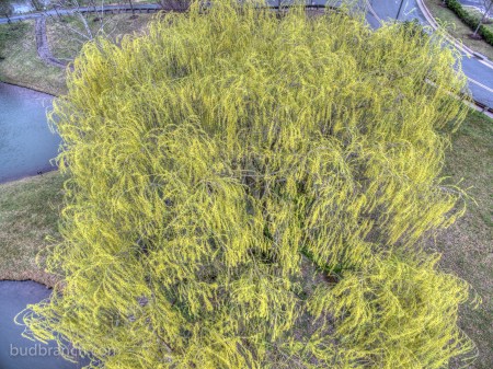 DJI_0374_5_6_7_8_tonemapped-2