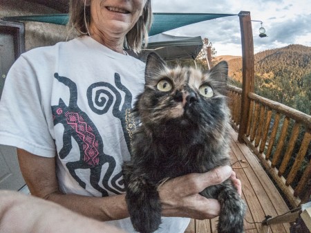 Lilly notices a hummingbird