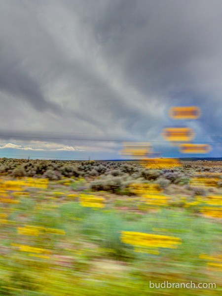 IMG_7197_Painterly 5